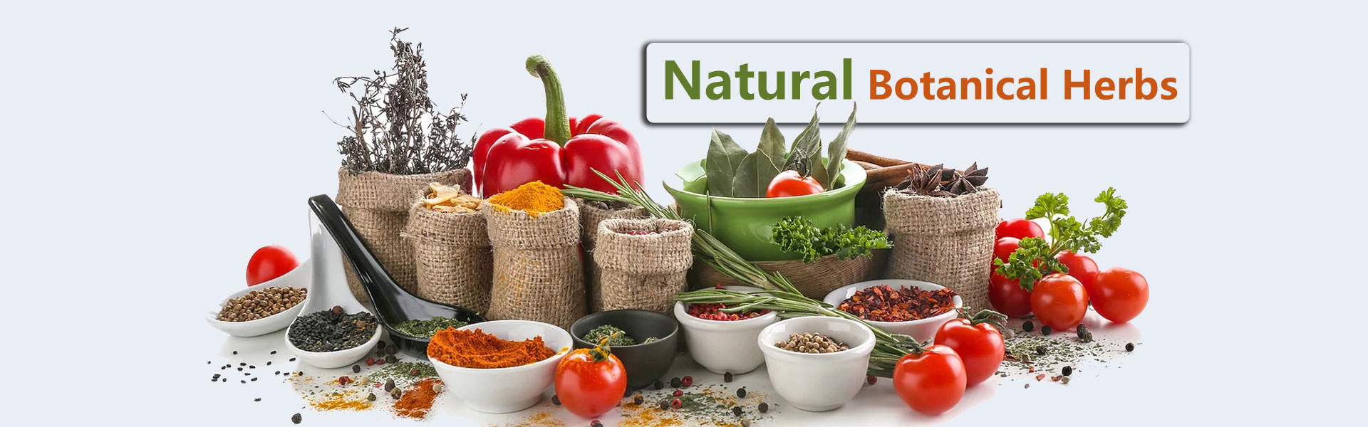 Herbal extracts and organic ingredient solutions — KNH Biotech