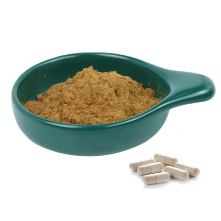 Beta Ecdysterone Powder — ecdysterone extract