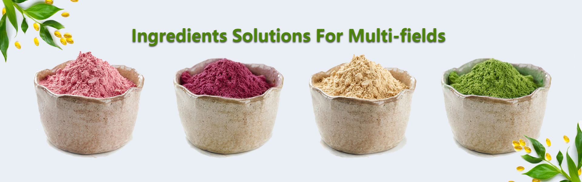 Premium plant-based ingredients and botanical extracts — KNH Biotech