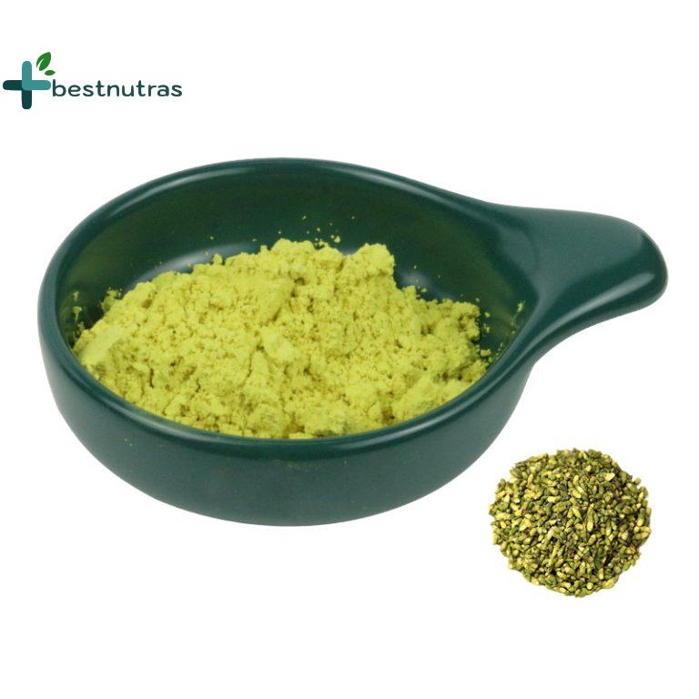 Sophora Japonica Extract — rutin powder supplier